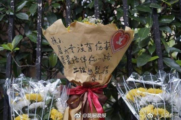 被诅咒？记者：鹈鹕墨菲&琼斯&德章泰