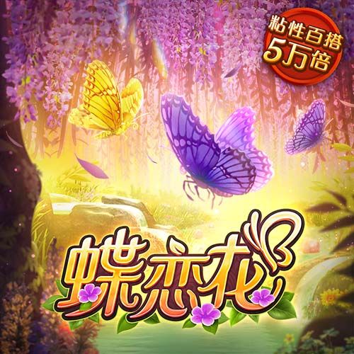 😂节目效果满分啊！约基奇中国行整活之与中国高铁赛跑！